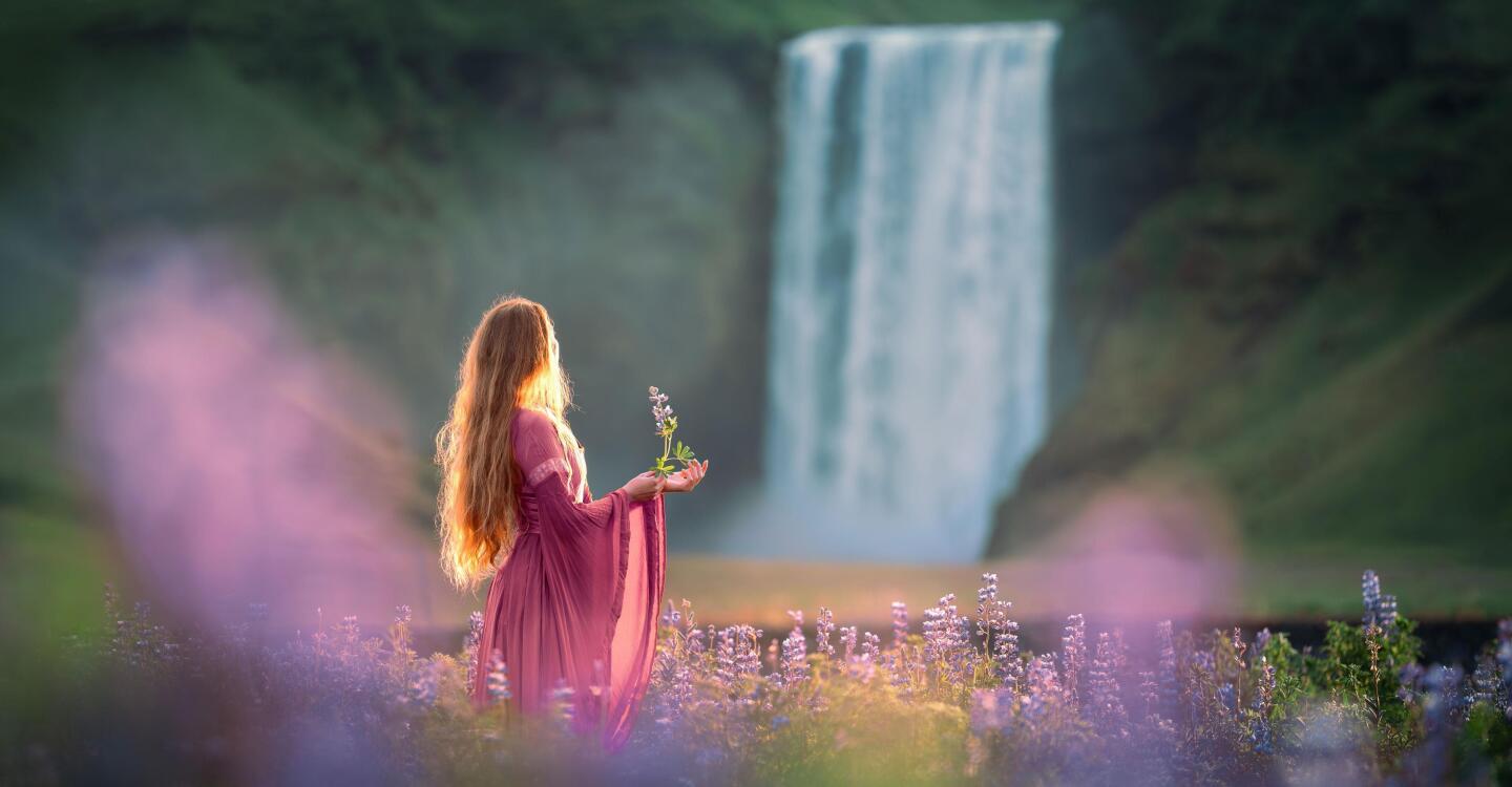 Tim Janis: Our Natural World - Returning to Earth