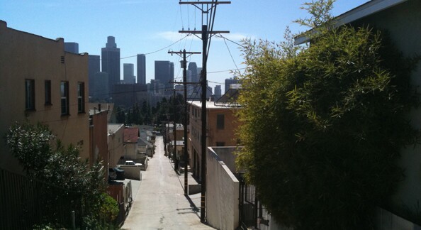 View of Downtown L.A. From Annie's hill