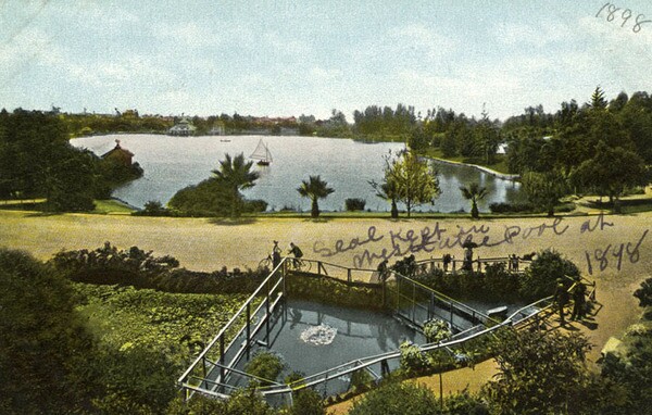 A seal pool was a popular attraction in the park's early years. Courtesy of the Photo Collection, Los Angeles Public Library.