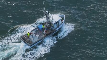 Salmon Ban and Crab Fishing Restrictions Hit Coastal Fishers Hard