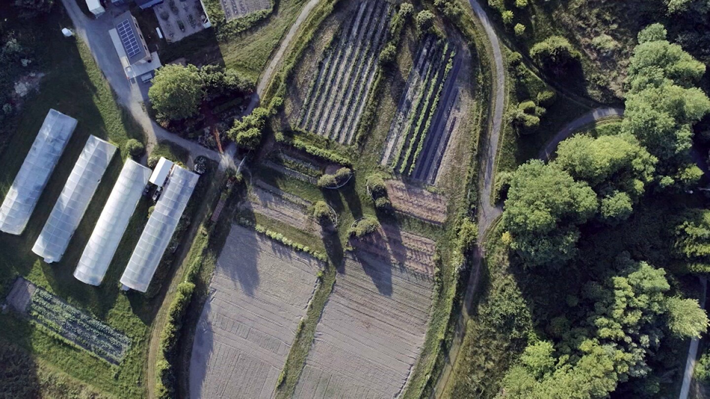 Aerial shot of Potawot Community Garden. | Still from "Tending Nature"