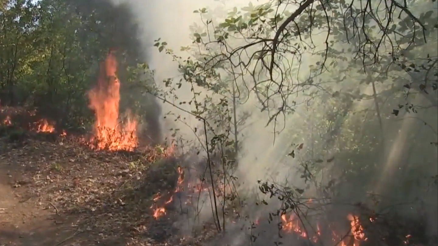 Yurok Fight for Cultural Burning
