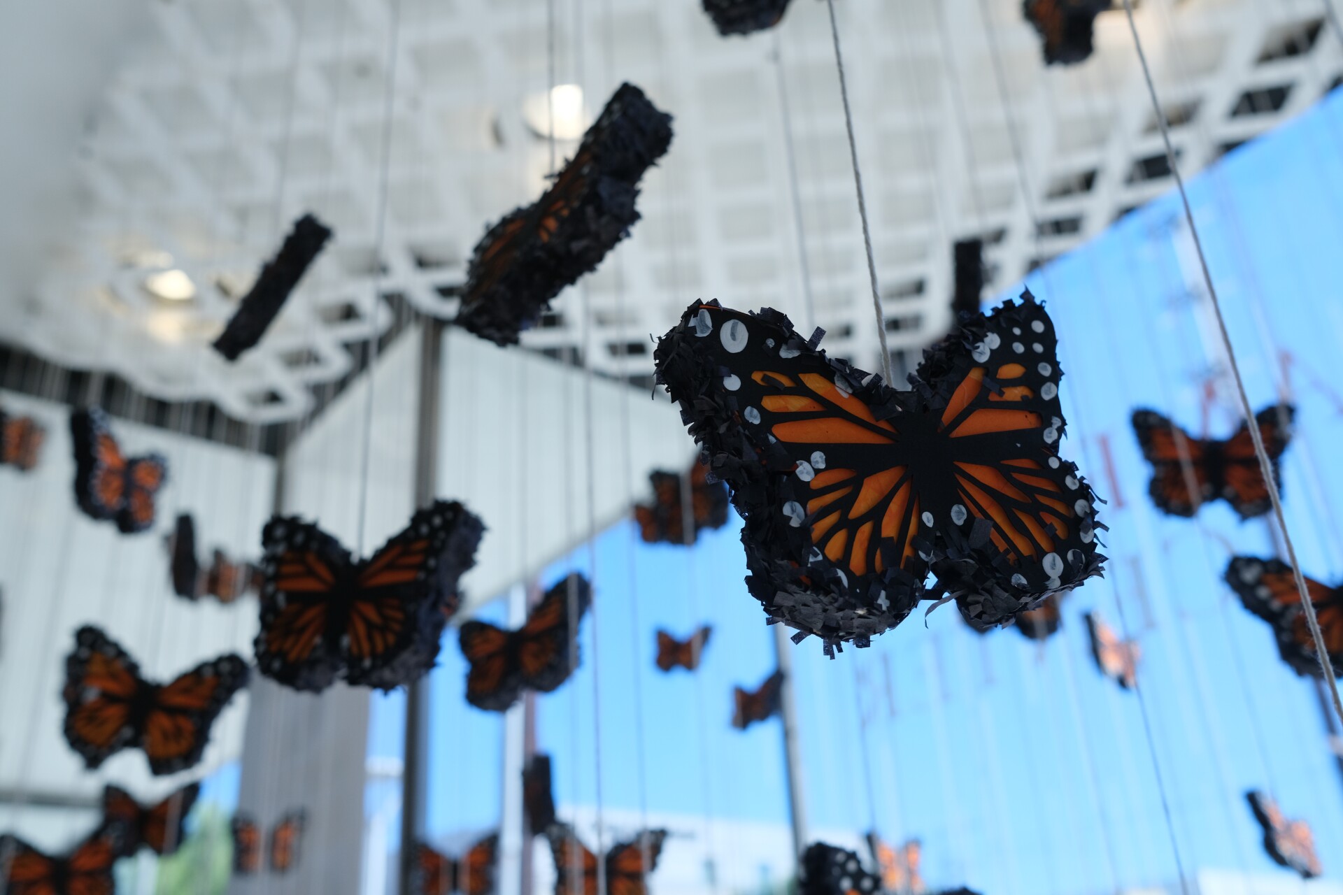mini-Monarch butterfly piñatas are hung from the ceiling.