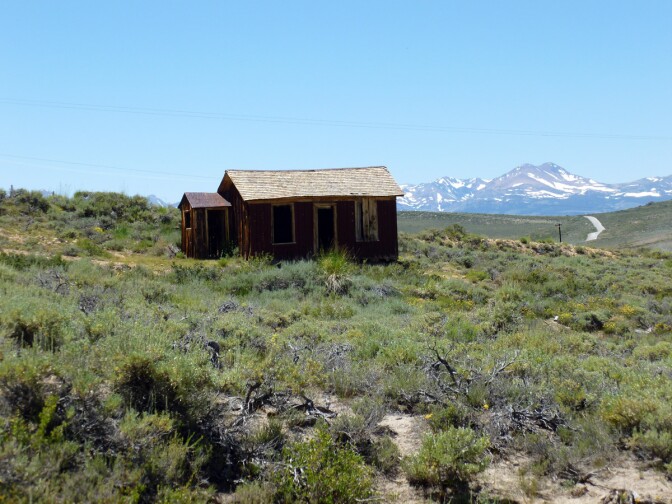 Bodie