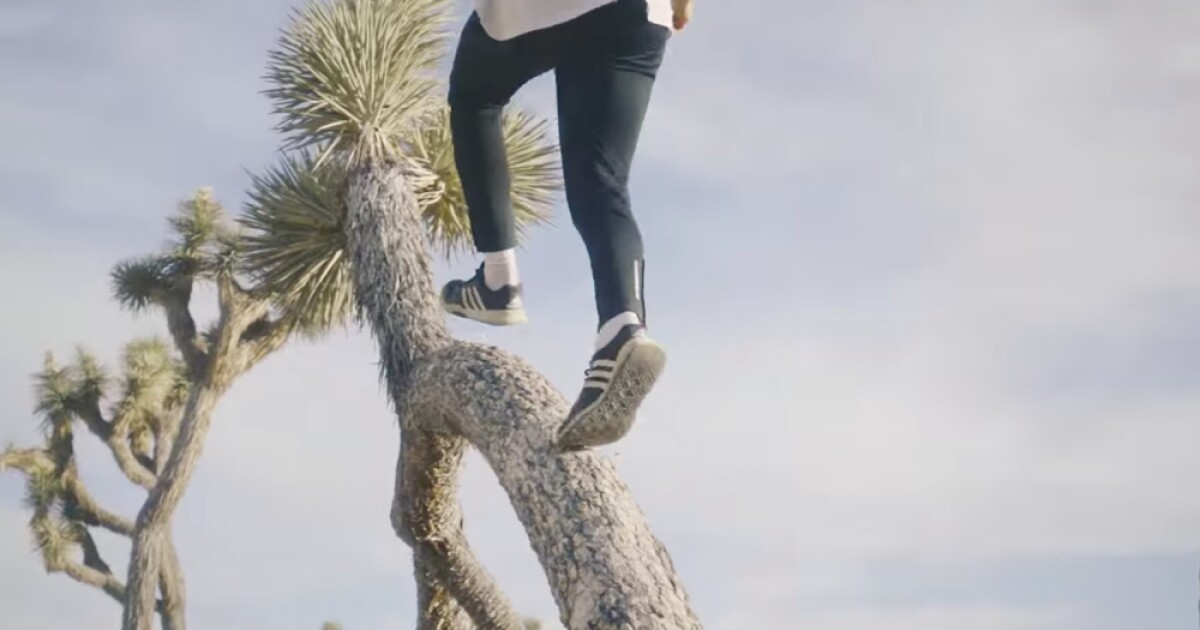 Parkour Team S Joshua Tree Spree Why We Can T Have Nice Things Kcet Parkour Team S Joshua Tree Spree Why We Can T Have Nice Things Kcet