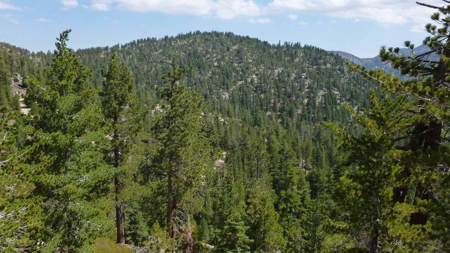 mount waterman