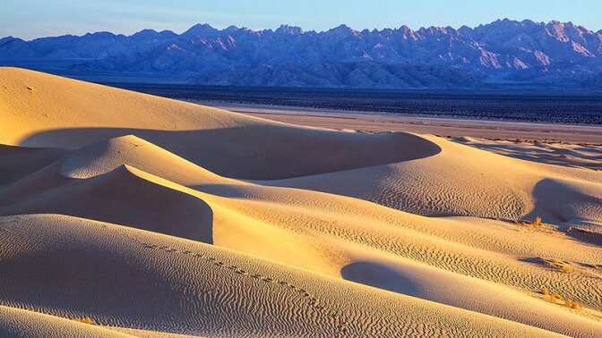 The Cadiz Dunes with the Old Woman Mountains in the background