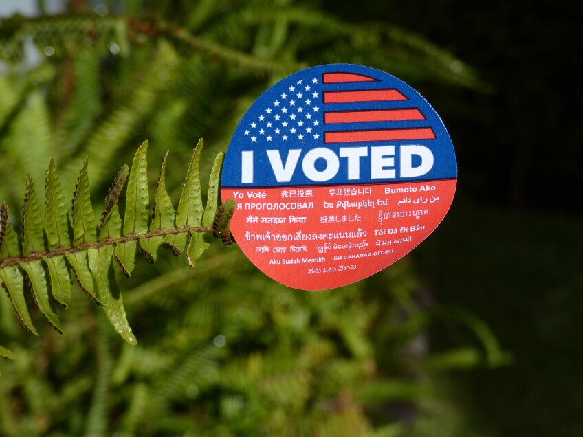 An "I Voted" sticker is perched at the end of a fern branch, in front of a shadowy background