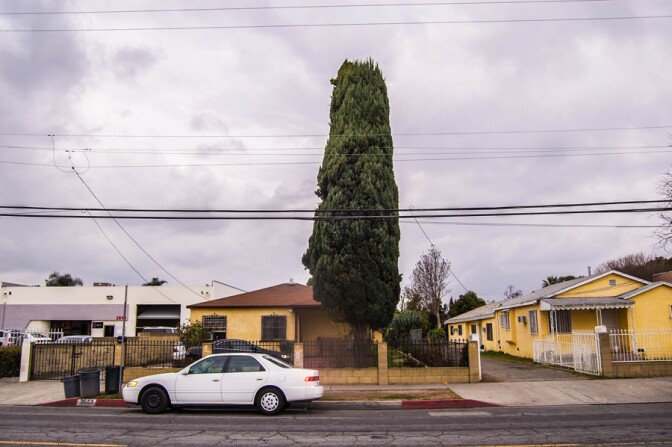 semaptrees04
