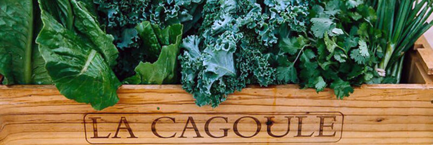 A box of greens prepared by SÜPRMARKT. | Still from "Broken Bread"