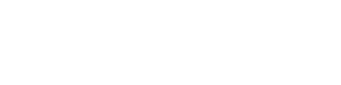 The Puzzle Lady