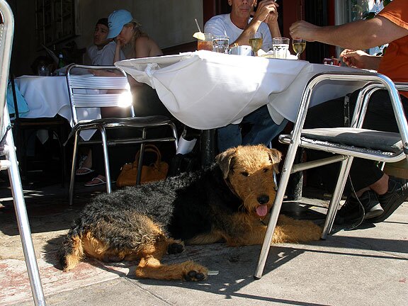 Photo by Flickr user Lulu Hoeller