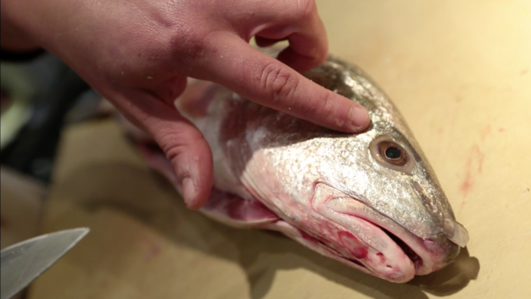 Eastern North Carolina Fish Stew