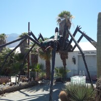 A large spider sculpture, with the body of the spider replaced with a full-sized Volkswagen Beetle, towers over a walkway leading up to a building with a sign that reads, "Hole in the Wall" over the door. 