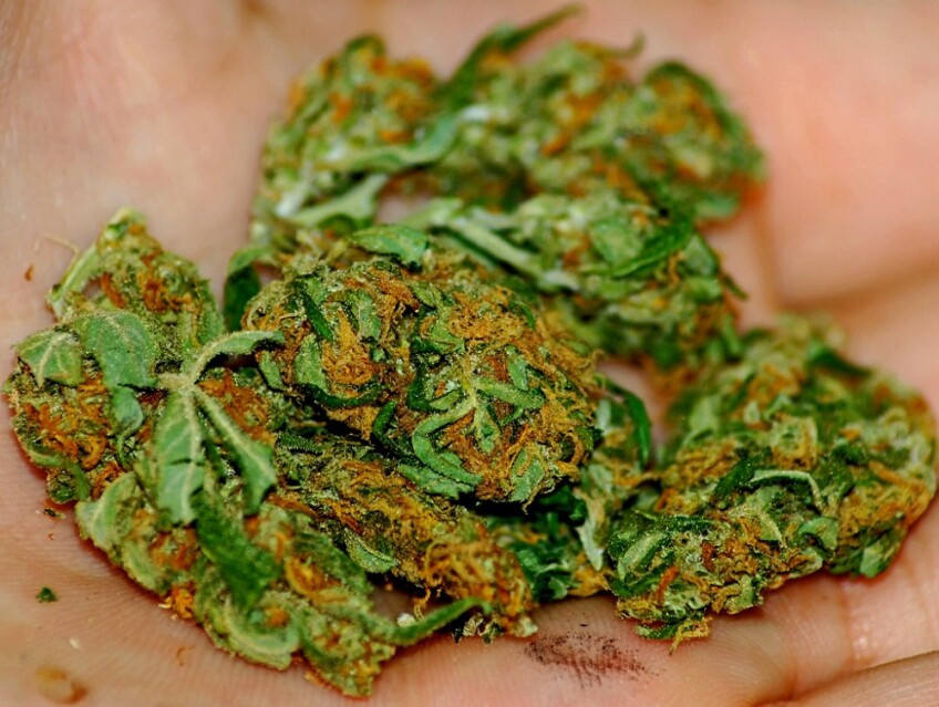L.A. City Attorney Mike Feuer seeks to close a pot delivery service it says violates the city's Proposition D.