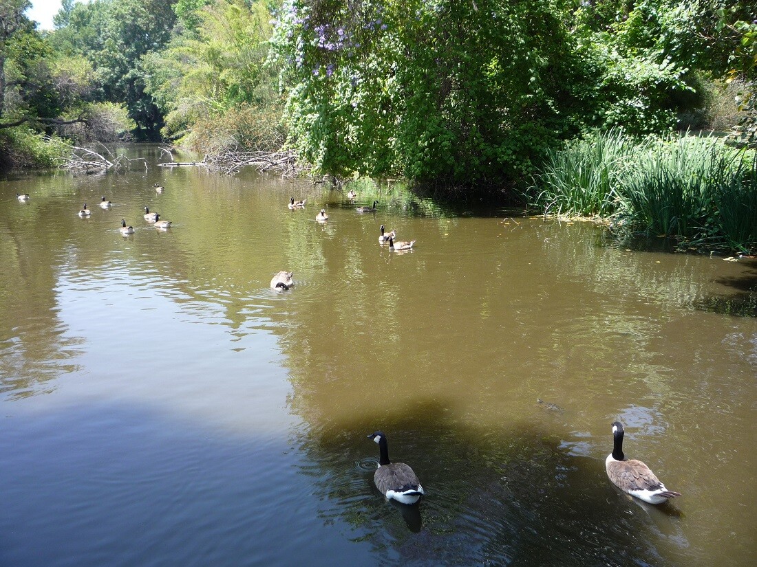 Baldwin Lake (1)