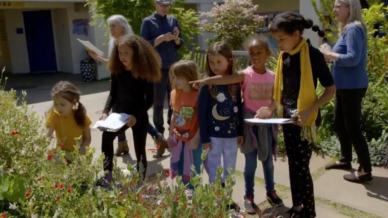 Citizen Science Story: The Great Sunflower Project