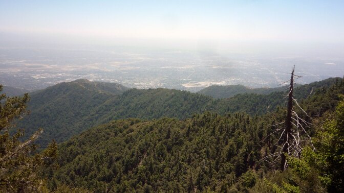 mount wilson