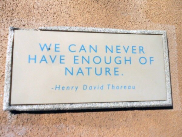 Thoreau said it best, on a sign that hangs at the Audubon Center at Ernest E. Debs Regional Park.