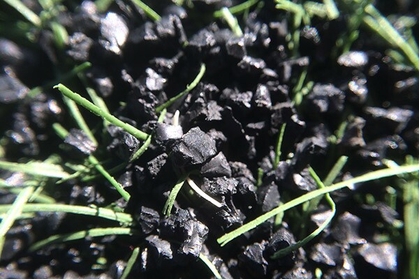 Crumb rubber mixed in with artificial grass at a public park in Los Angeles. | Photo: Zach Behrens/KCET