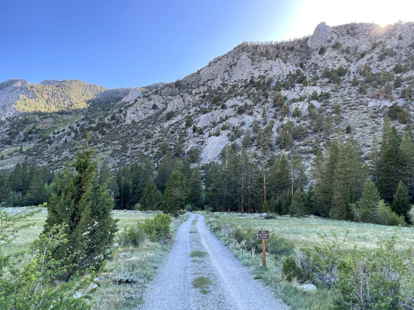 A road with a mountain background