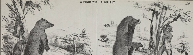 Artist's depiction of a fight with a Grizzly bear