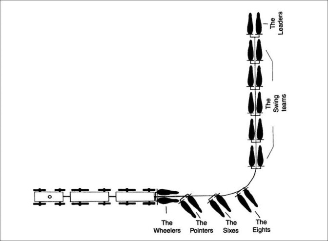 Twenty mule team diagram