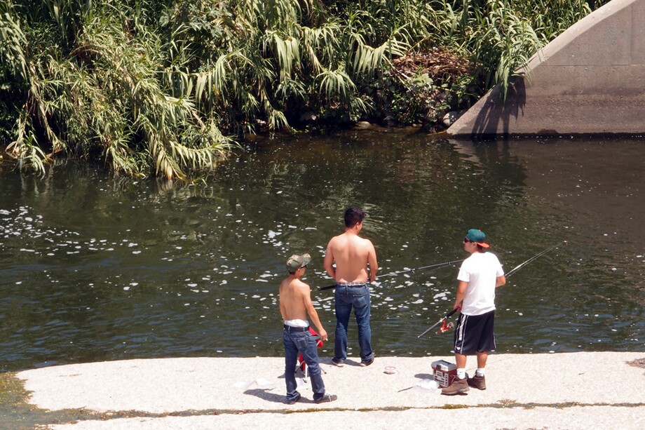 Anglers can expect to find mostly carp in the river waters