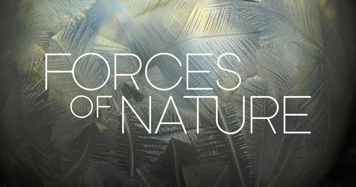 Stream Forces of Nature Seasons & Full Episodes | PBS SoCal