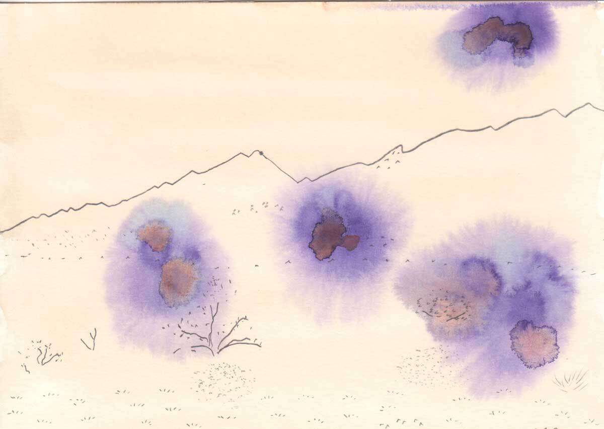 Hillary Mushkin's artwork with purple blooms at the Cleghorn Wilderness site for "Three Border Ecologies" | Courtesy of Hillary Mushkin
