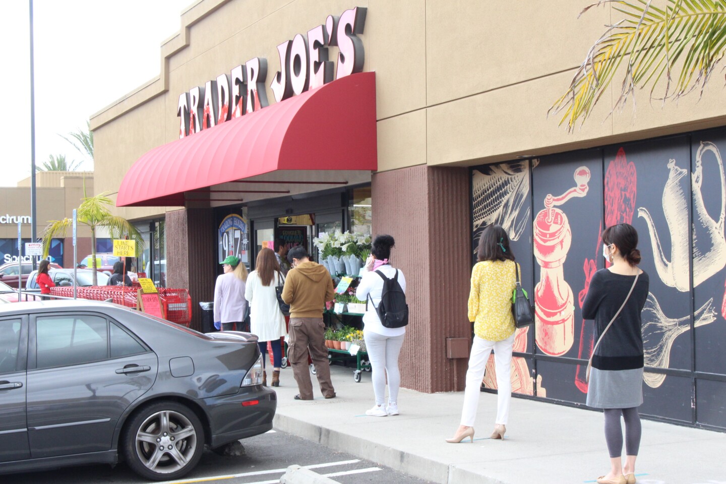 Line outside of Trader Joe's during COVID-19 pandemic | Karen Foshay