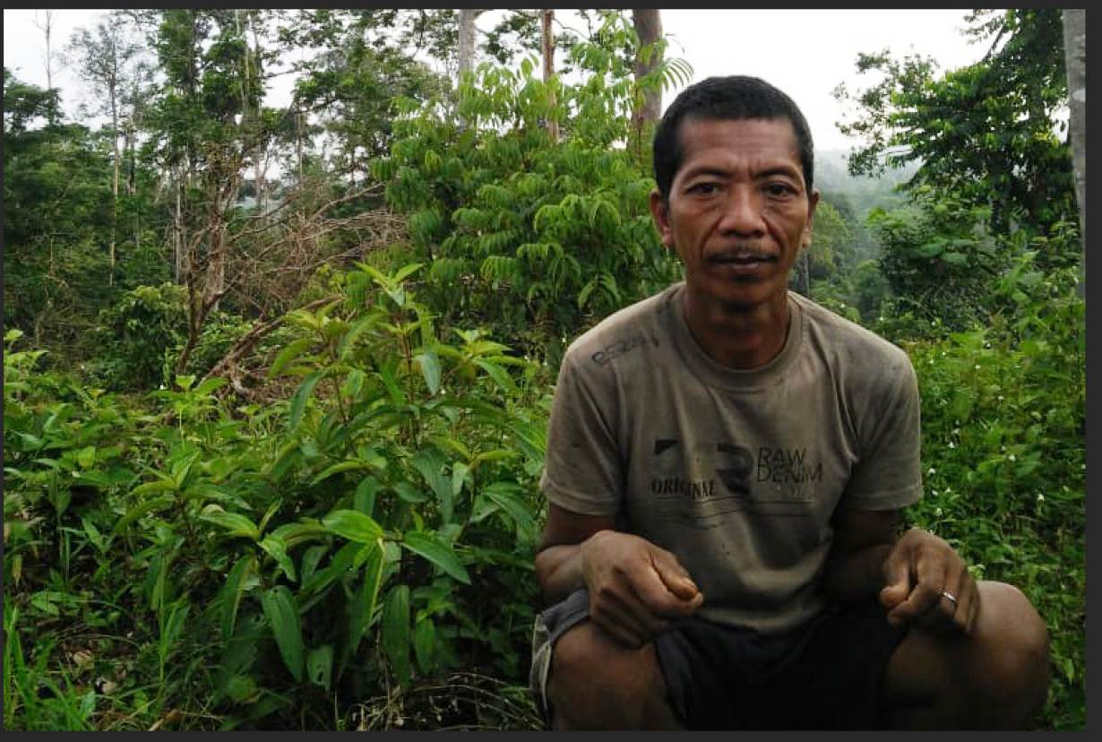 Orang Rimba tribe member Neliti, 45, is pictured in the forest of Bukit Duabelas national park, Sumatra, Indonesia in June 2020. | Anggun Nova/Handout via Thomson Reuters Foundation