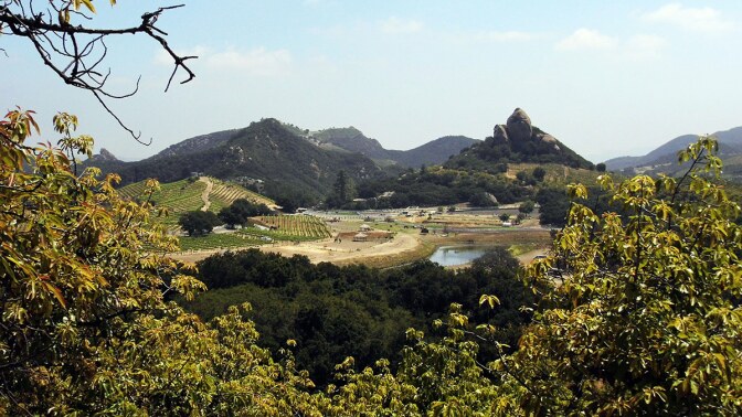 Malibu Wine Hikes take visitors through the Semler family’s Saddlerock Ranch vineyards | Sandi Hemmerlein