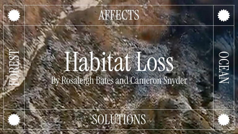 Habitat Loss - Rosaleigh Bates and Cameron Snyder