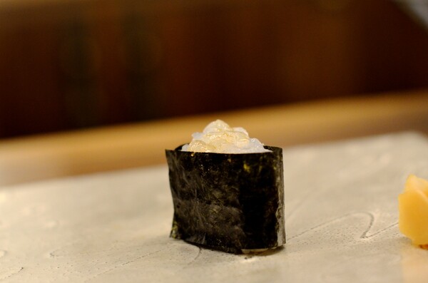Shiro Ebi from Toyama