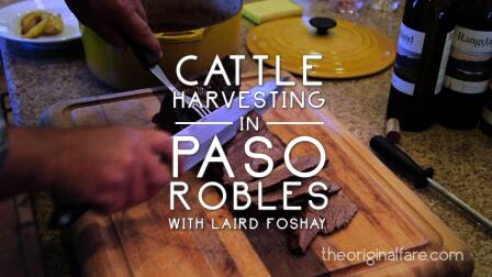 Cattle Harvest in Paso Robles