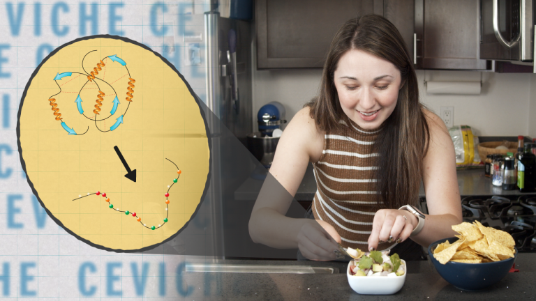 How is Ceviche "Cooked?"