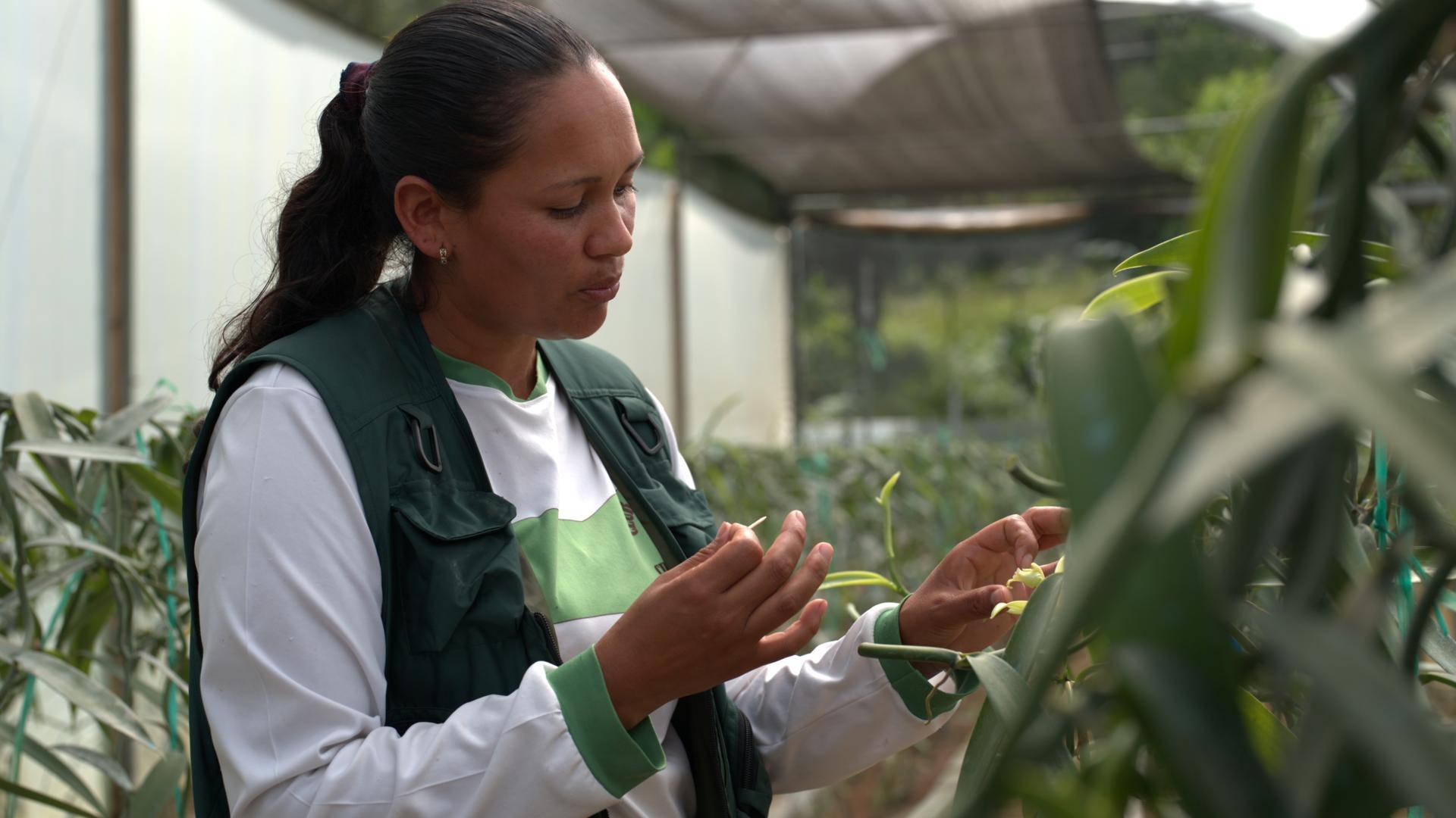 A person tends to a plant.