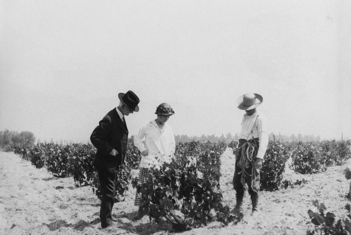 Cucamonga Winery in 1909