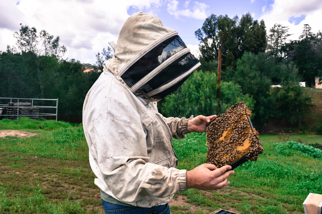 Valley Hive, Jeremy Jensen