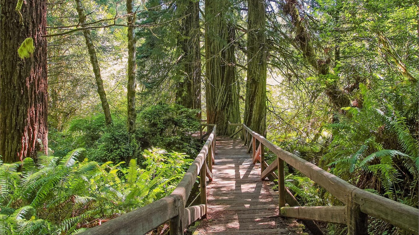 prairie creek bridge