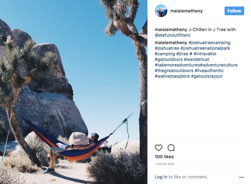 Another illegal hammock user in JTNP | Image: via Instagram