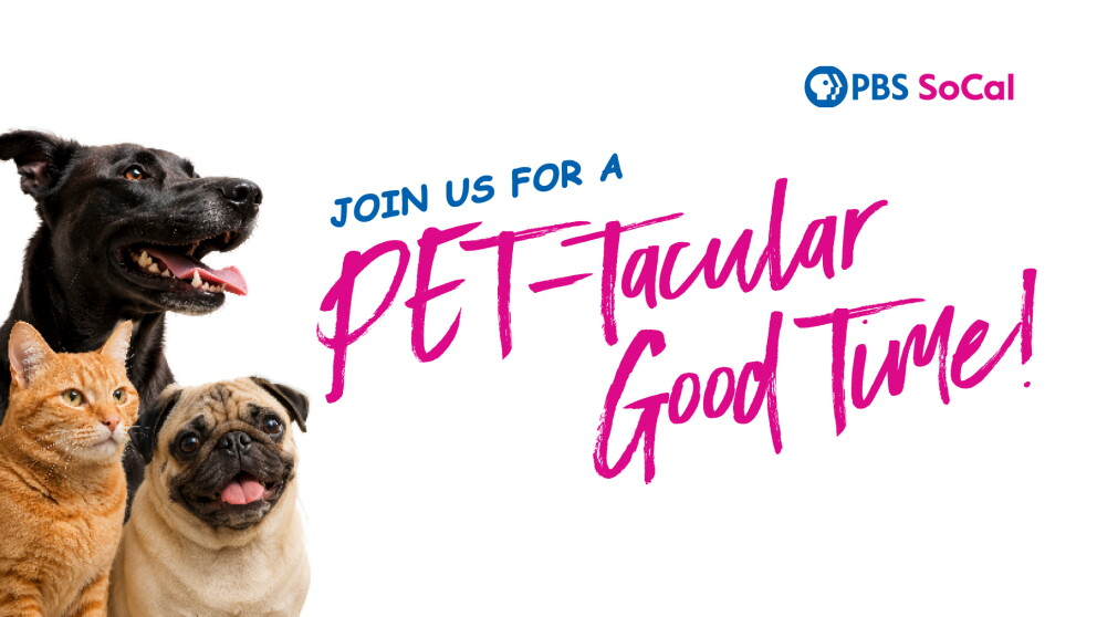 Join us for a PET-Tacular Good Time!