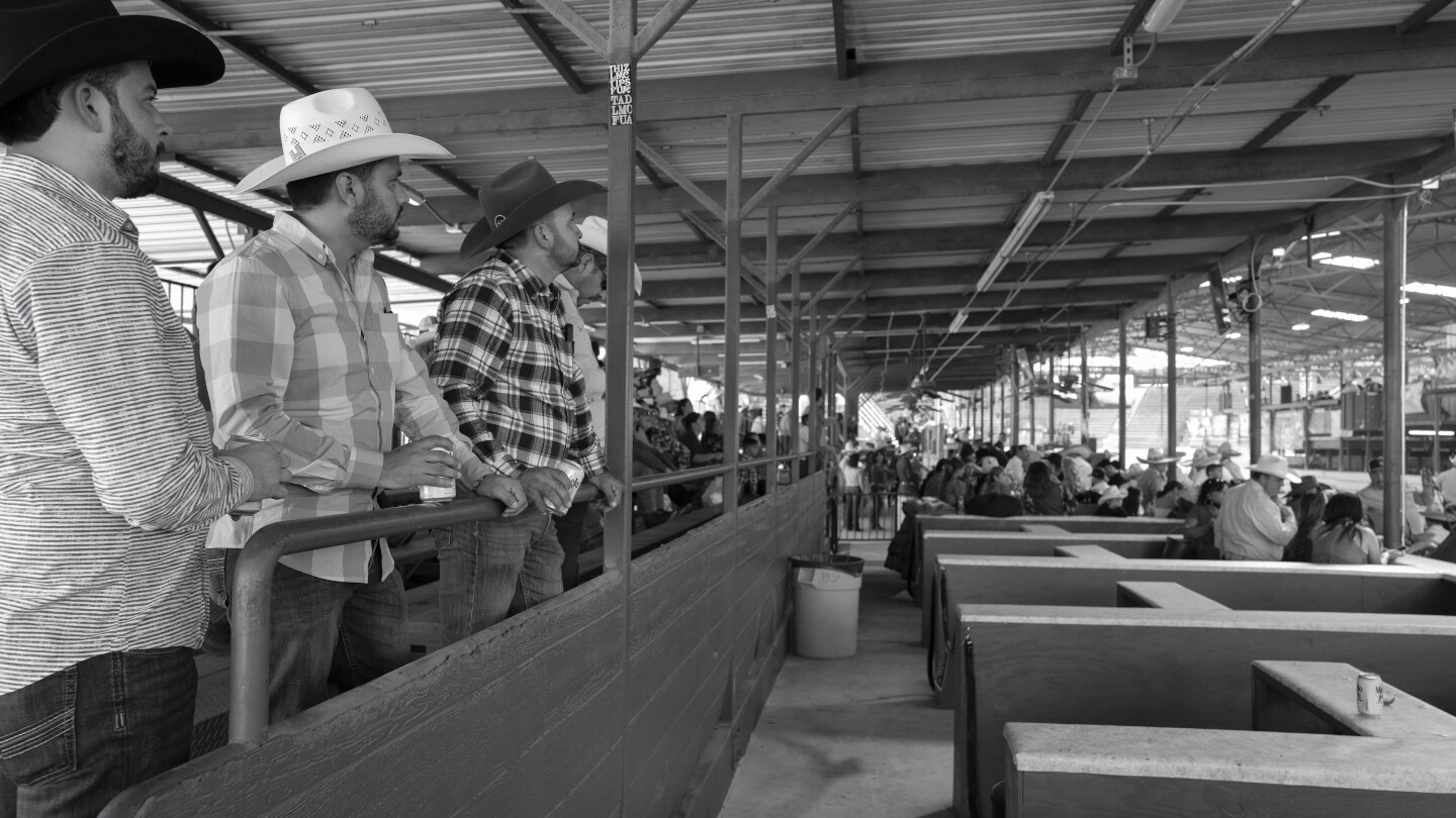 Grown men in wide-brimmed hats watch the goings-on at the Pico Rivera Sports Arena, a 6,000-seat facility designed expressly for charreadas.
