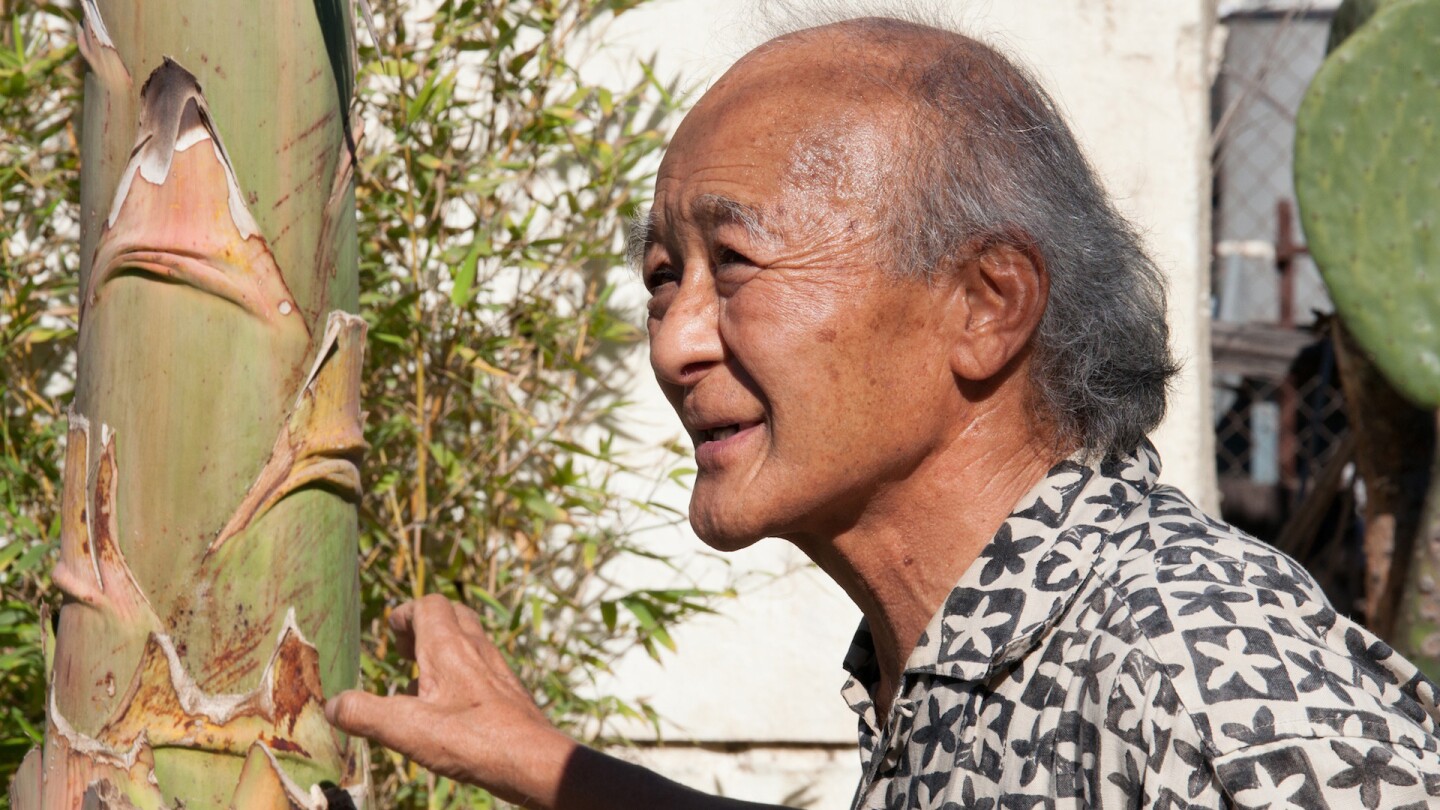 Kenzi Shiokava in his studio garden by Kenya Davis-Hayes