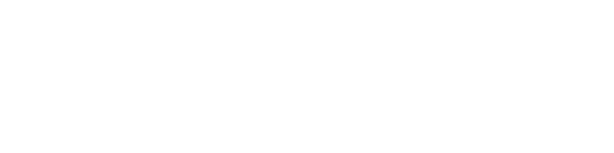 The Negotiator