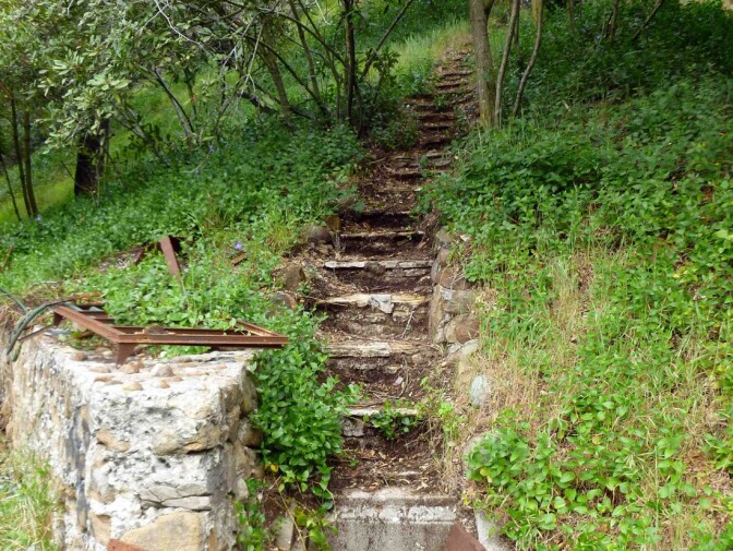 Rustic Canyon: Murphy's Ranch (1)