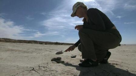 Hot, Dry Winds Help Spread Deadly Valley Fever Infections