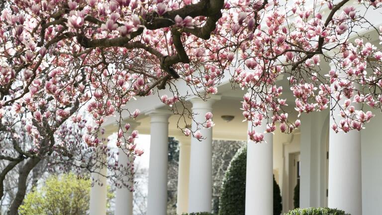Washington Week Extra for March 13, 2020