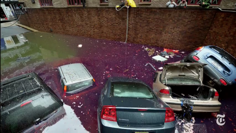 11/2: Sandy Rebuilding, Tunnel Repair, LI Business, Sloths
